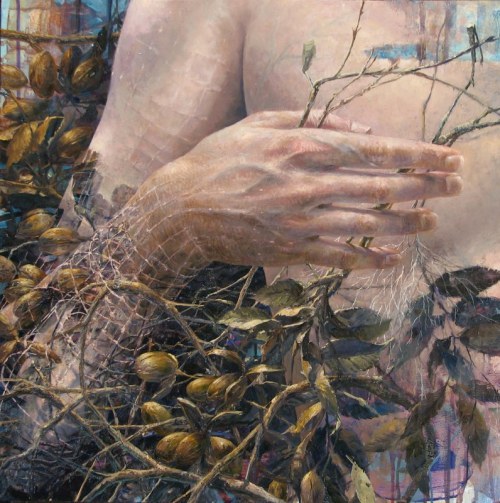 Image galerie