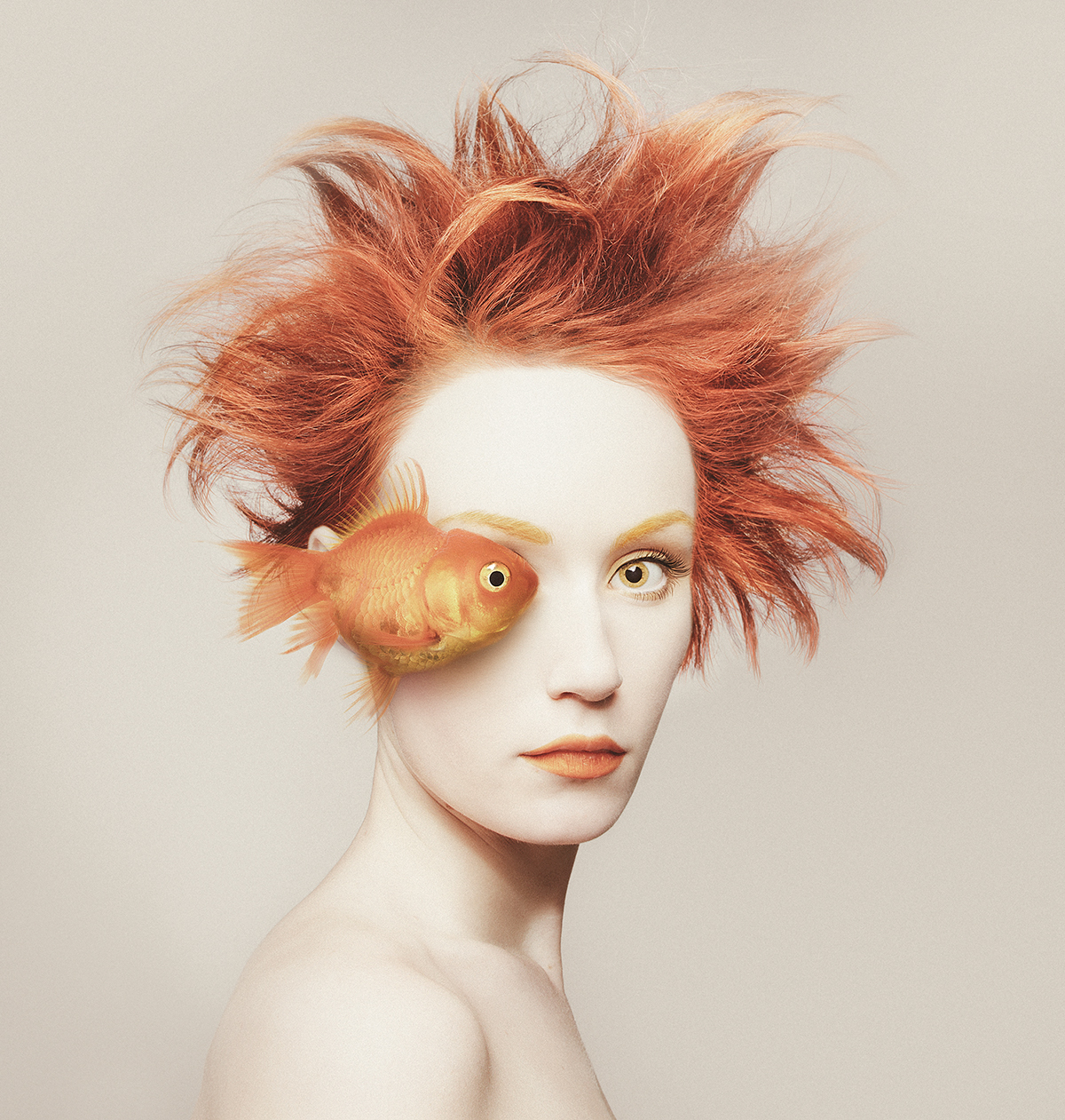Image galerie