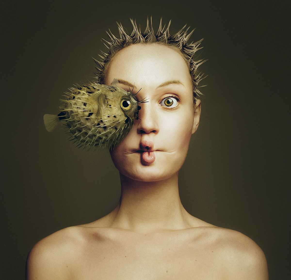 Image galerie