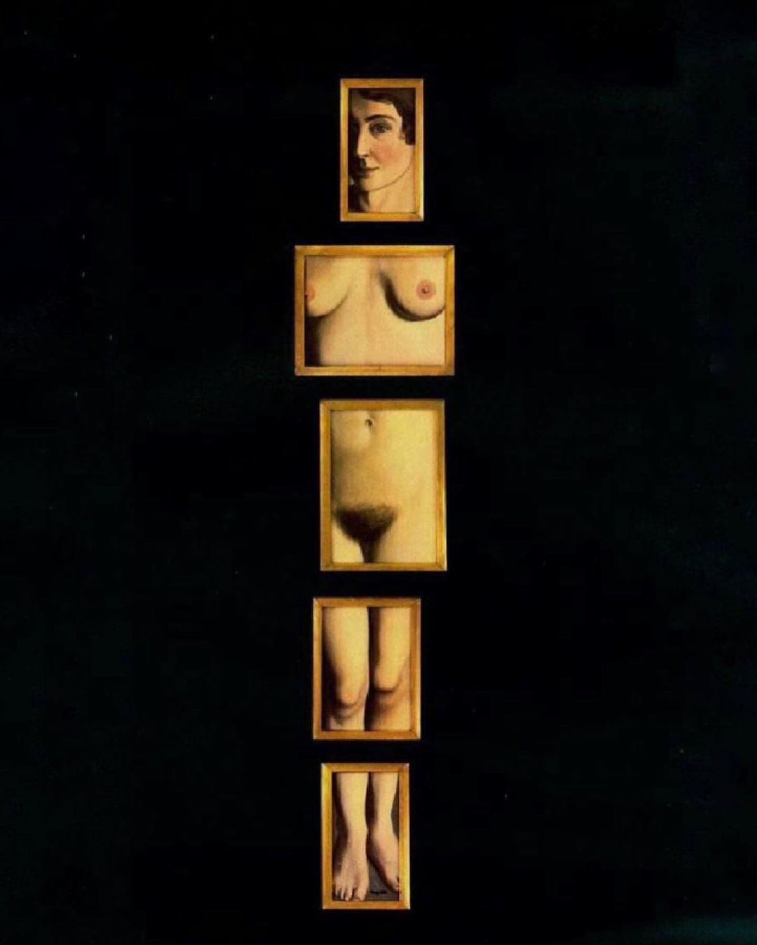 Image galerie
