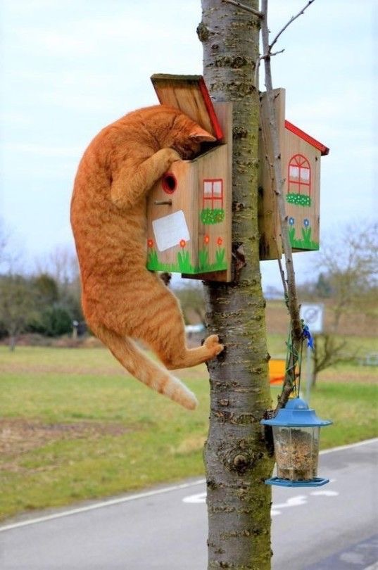 Coucou ! T’y es ?
