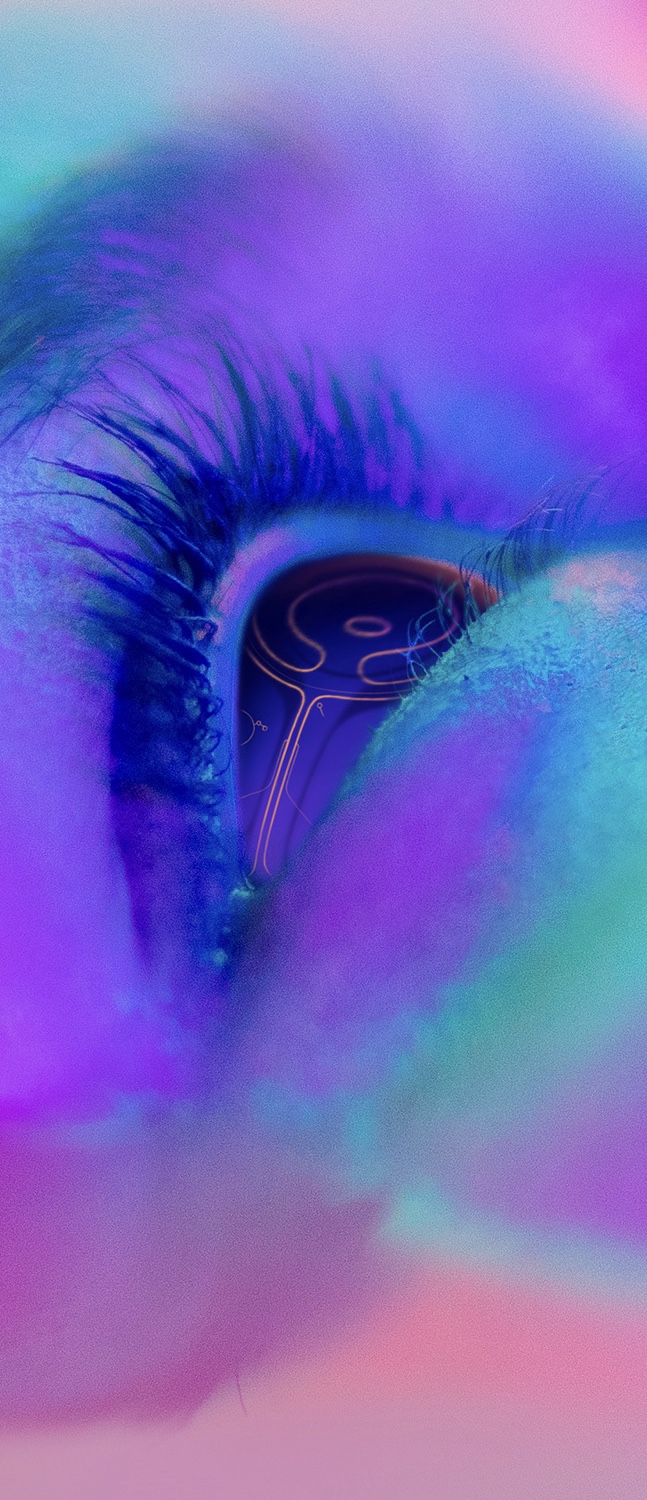 Image galerie
