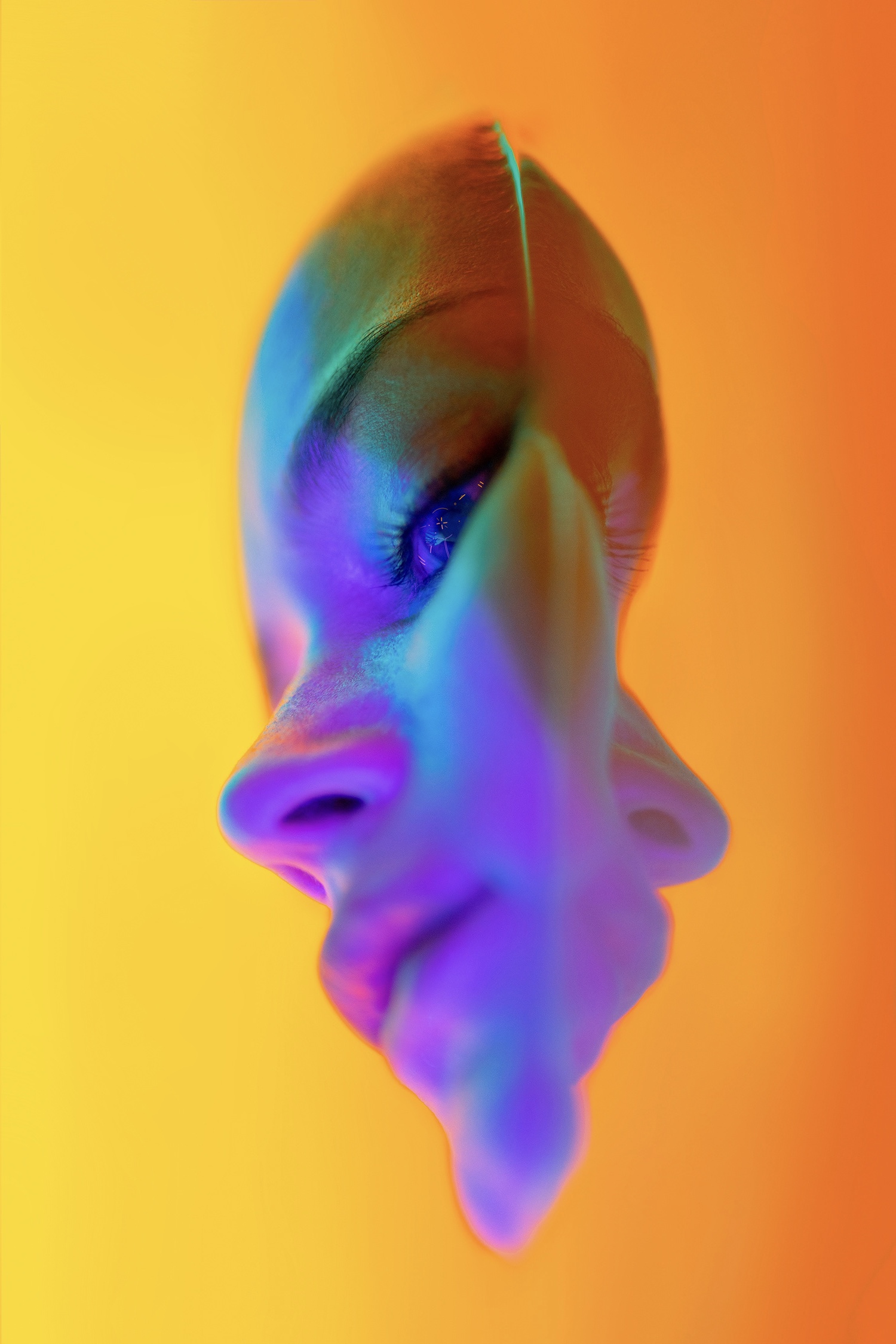 Image galerie