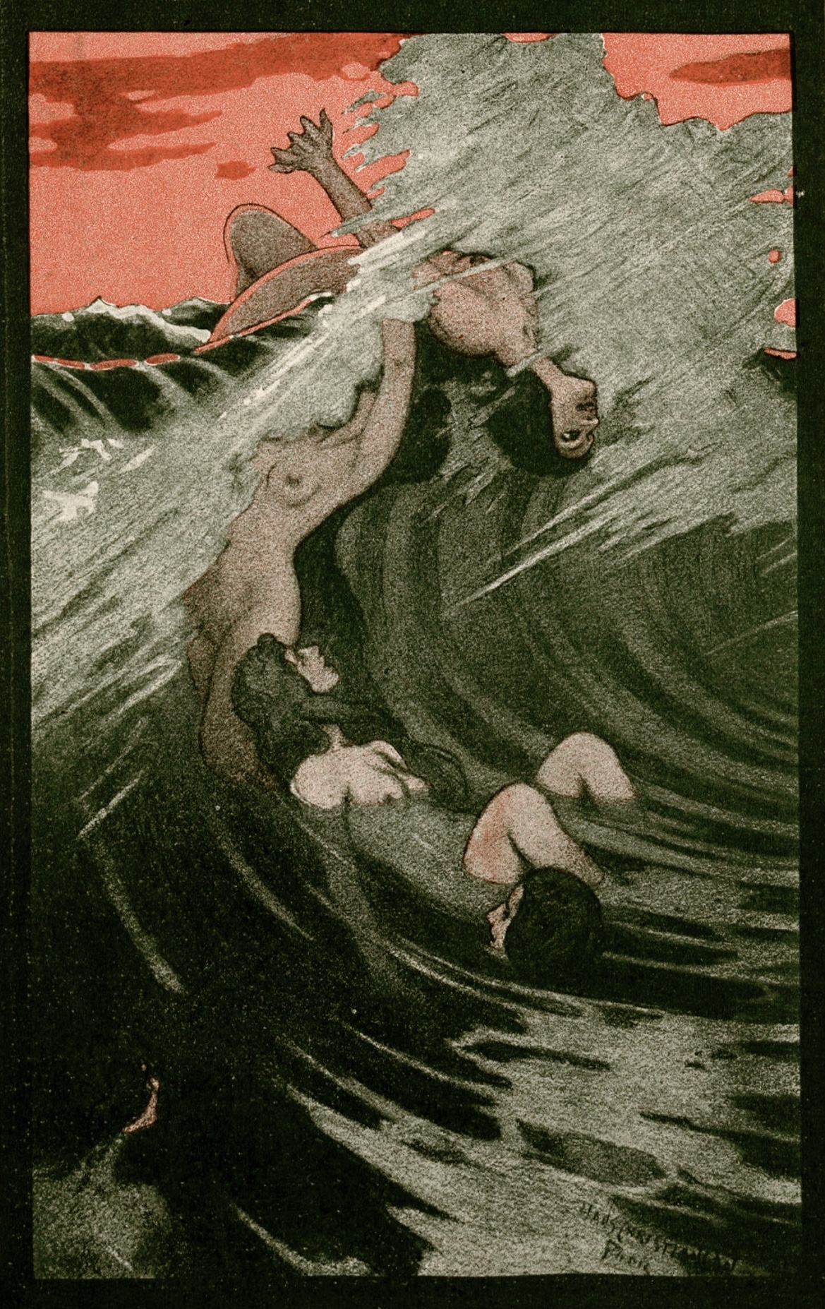 Image galerie