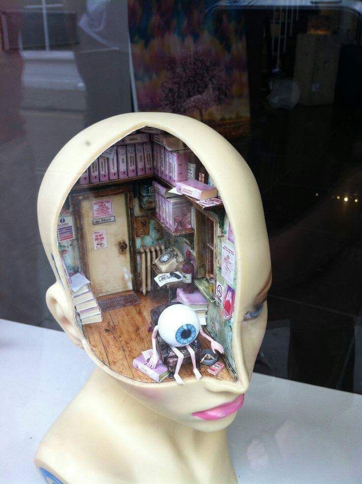 Image galerie
