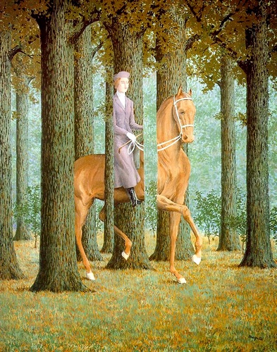 Image galerie