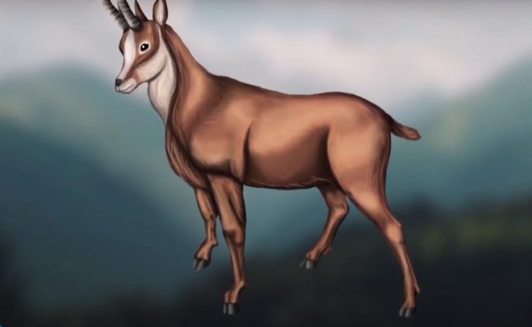 La chasse au Dahu