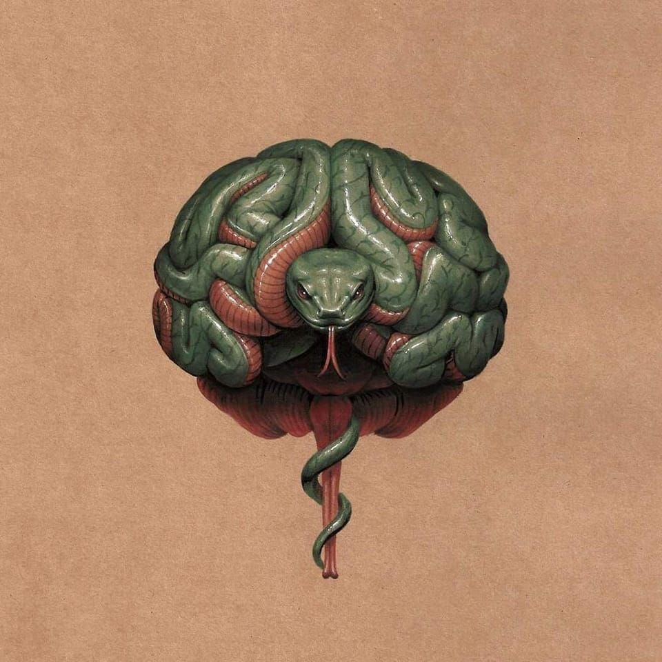 Le cerveau reptilien