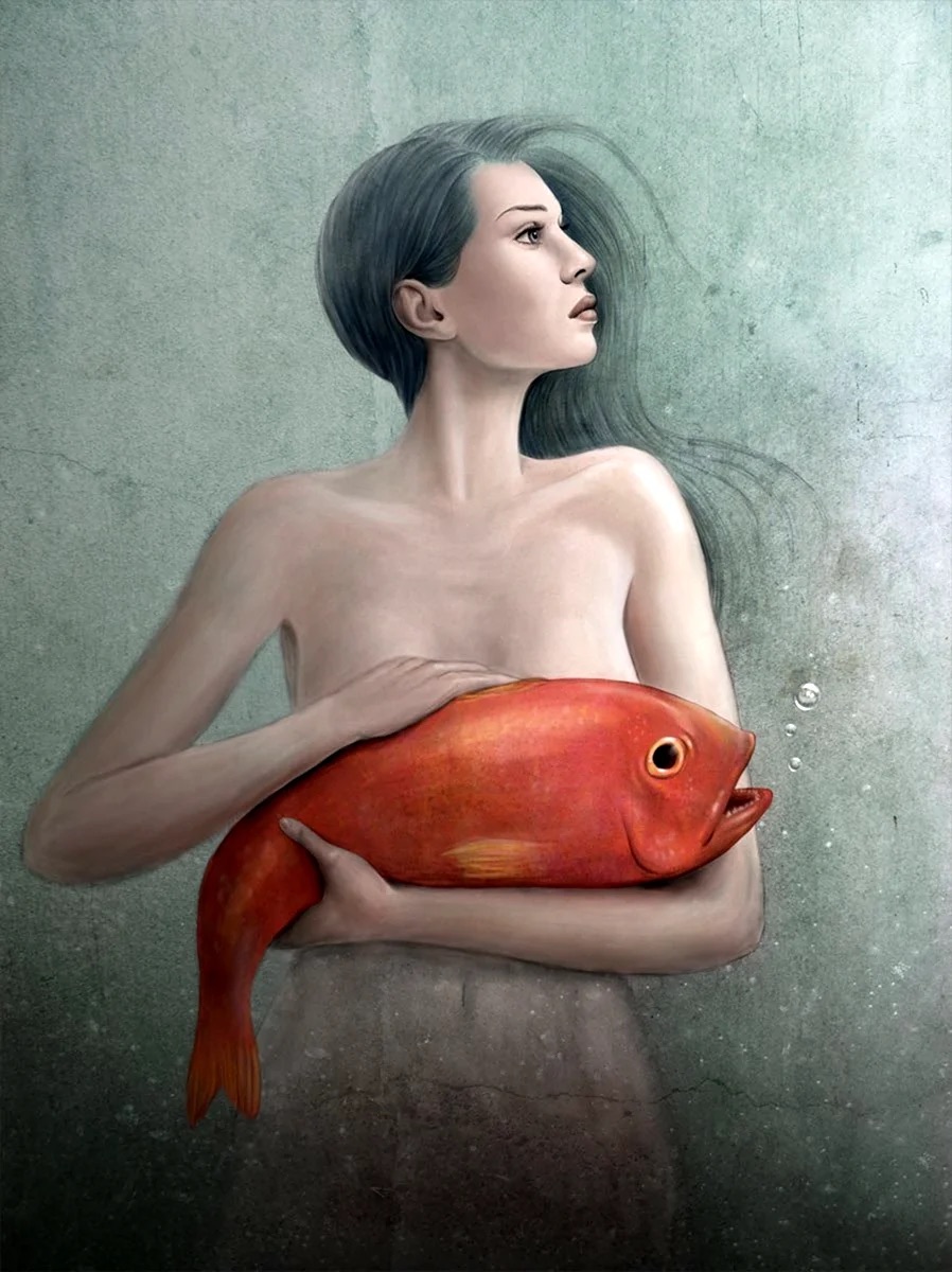 Image galerie
