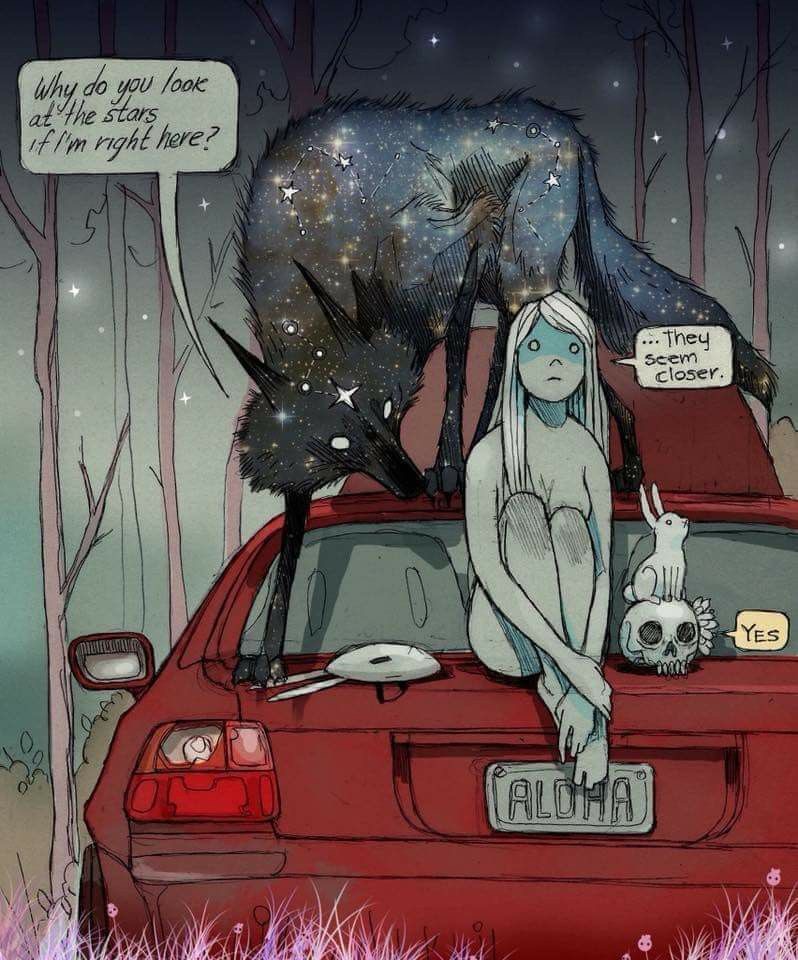 Pourquoi les étoiles ?