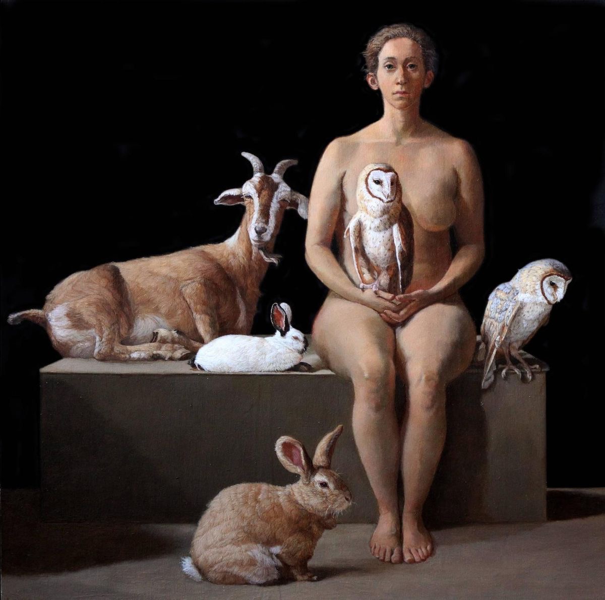 Image galerie