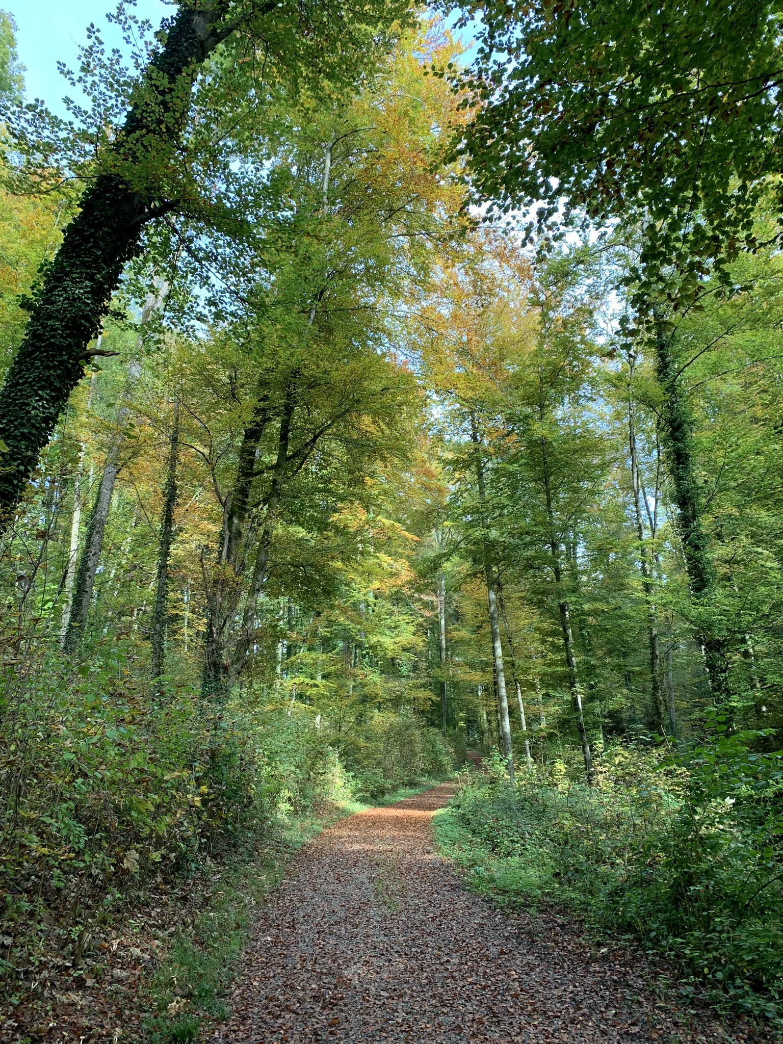 Sur le chemin d’octobre à novembre