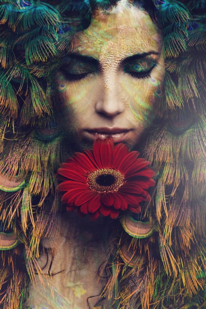 La fleur de vérité