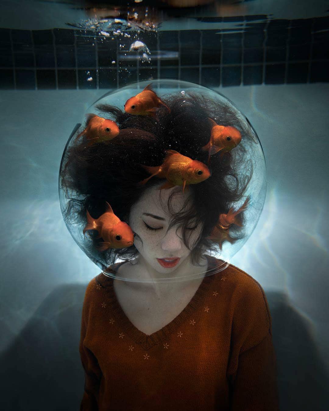 La tête dans le bocal à poissons