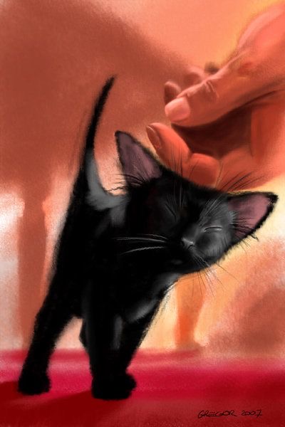 Le chat littéraire