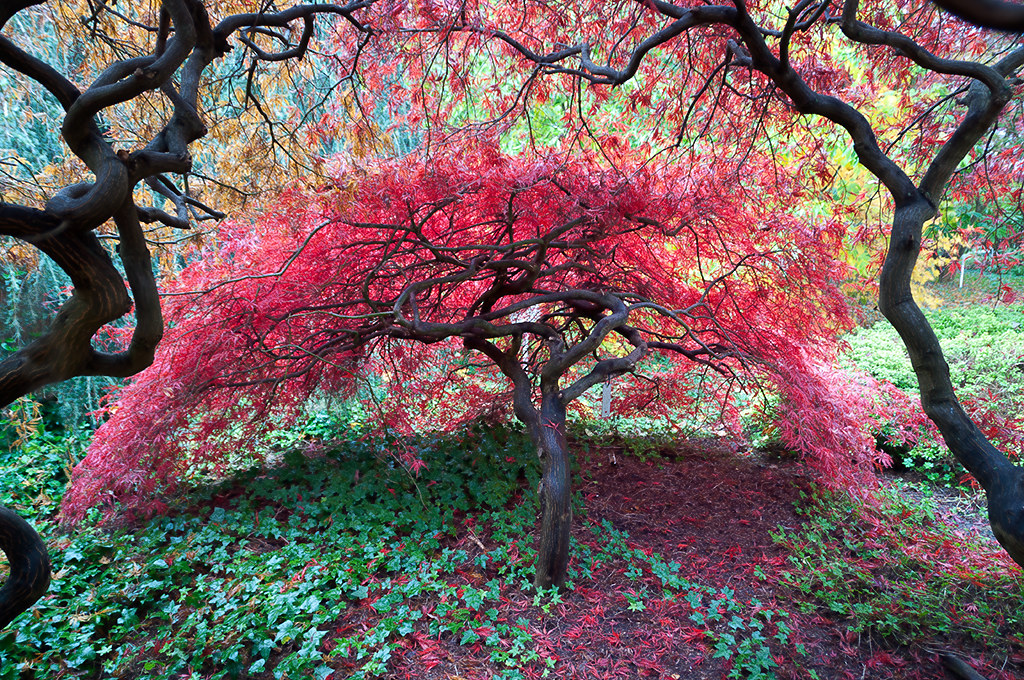Couleurs nature - 1