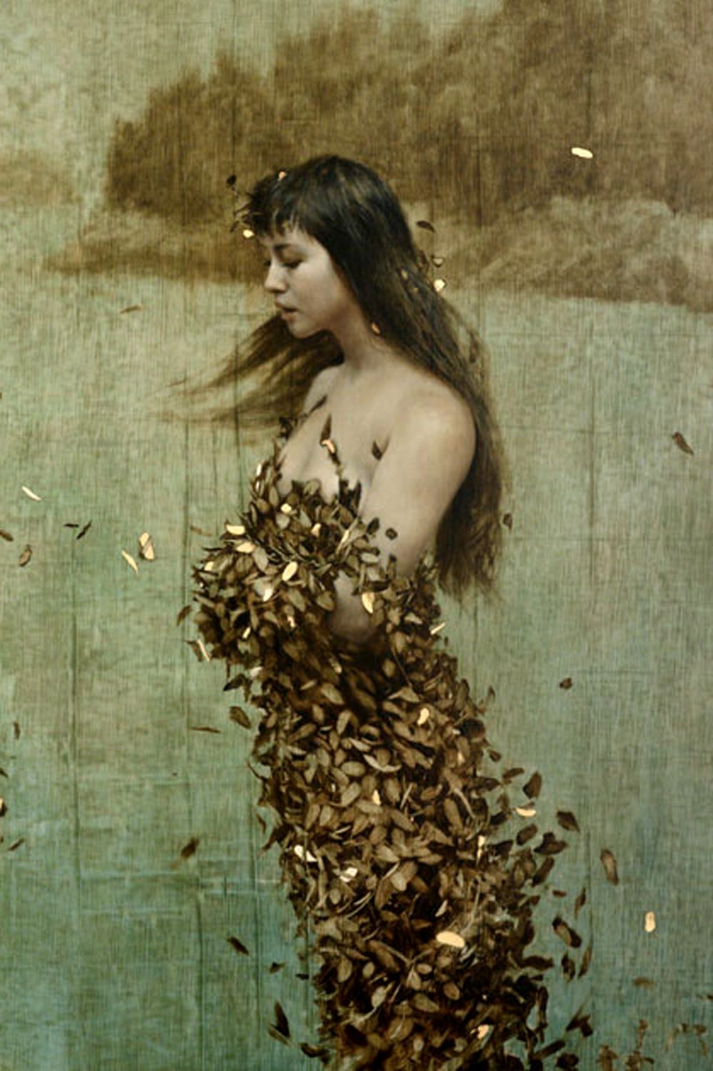 Image galerie