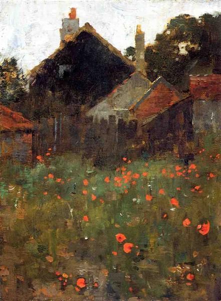 Coquelicots du printemps