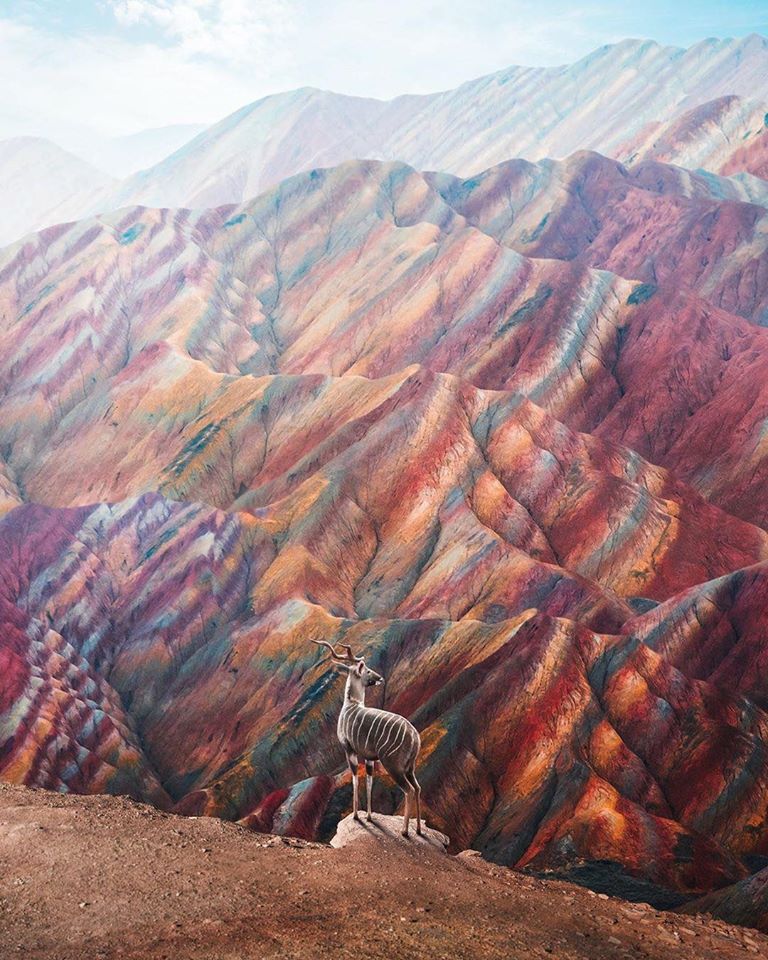 Une Terre paysagiste