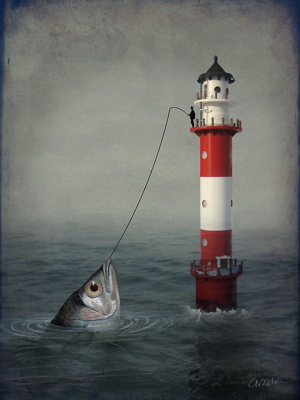 Image galerie