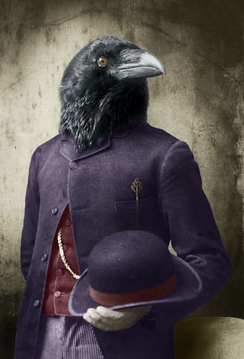 Monsieur du Corbeau