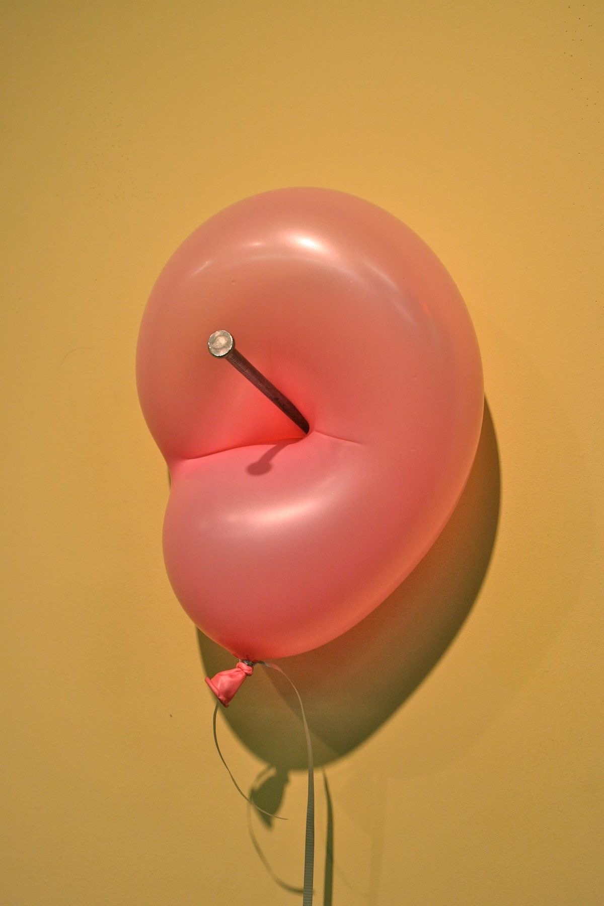 Image galerie