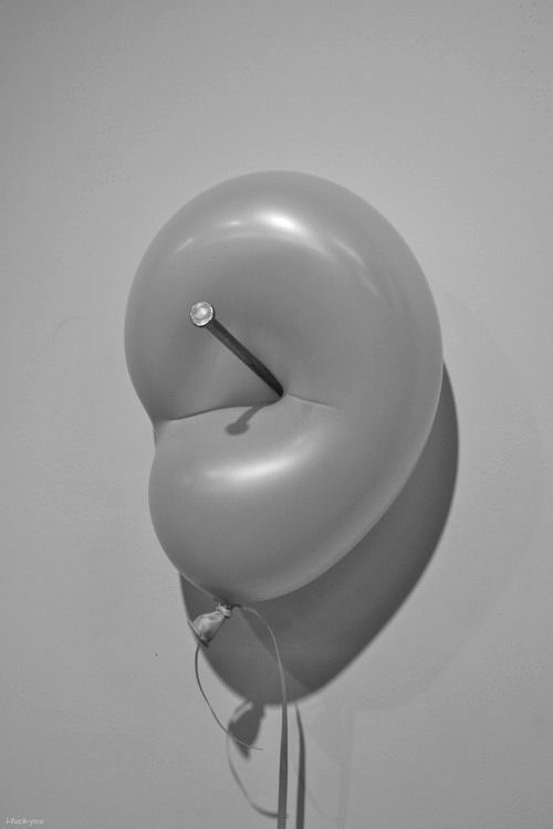 Image galerie