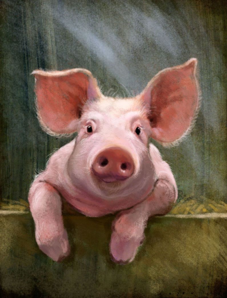Tout est bon dans le cochon !