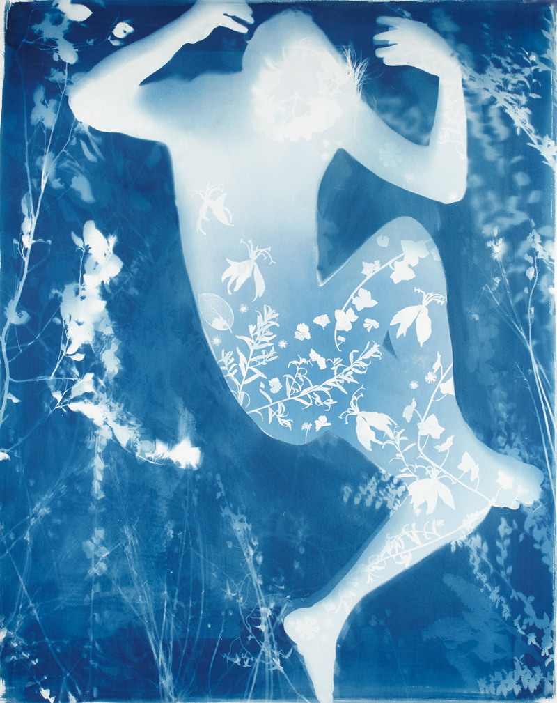 Image galerie