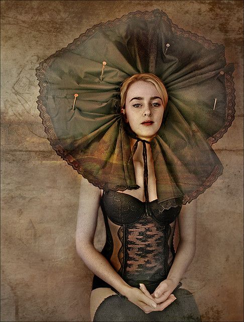 Papillon de nuit