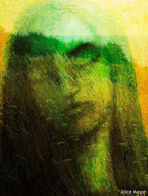 Tous les visages de la nature
