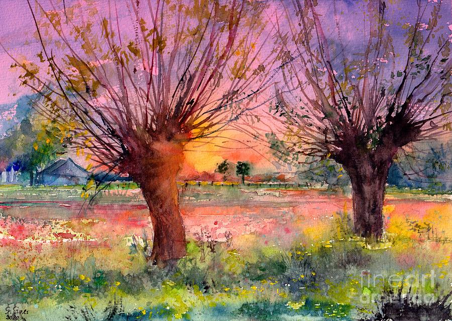 Les saules rieurs