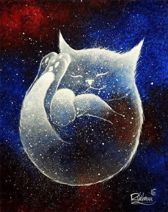 La constellation du Chat