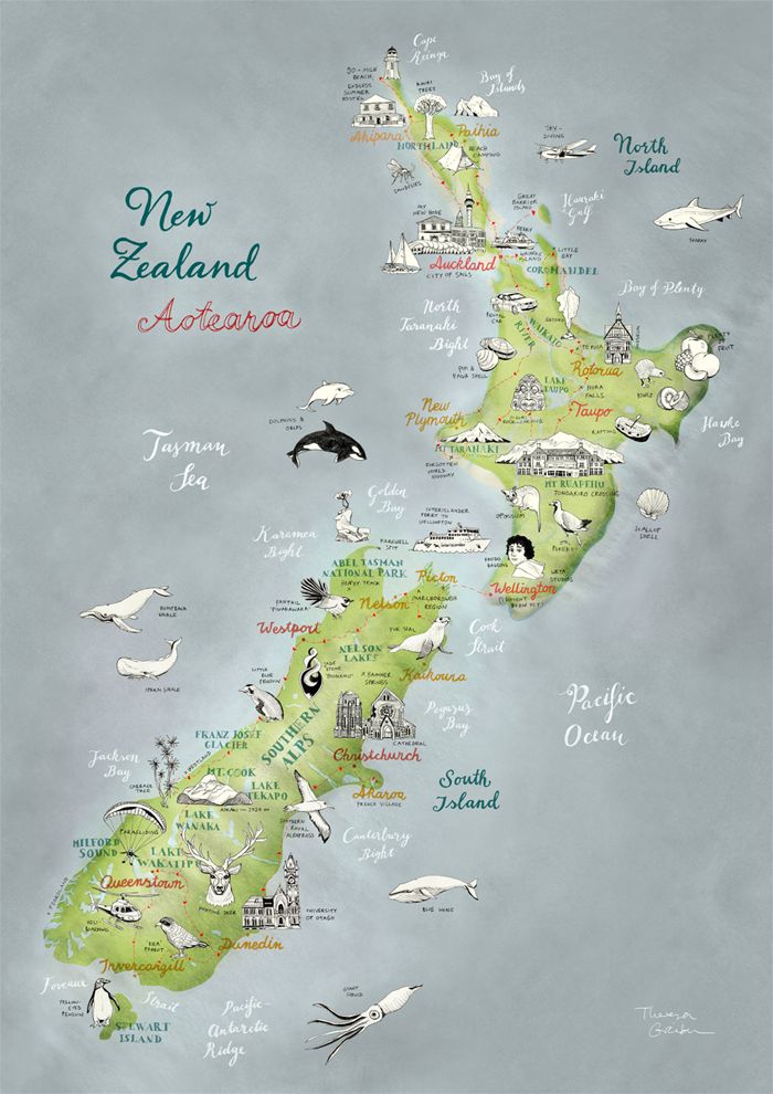 La terre du Kiwi