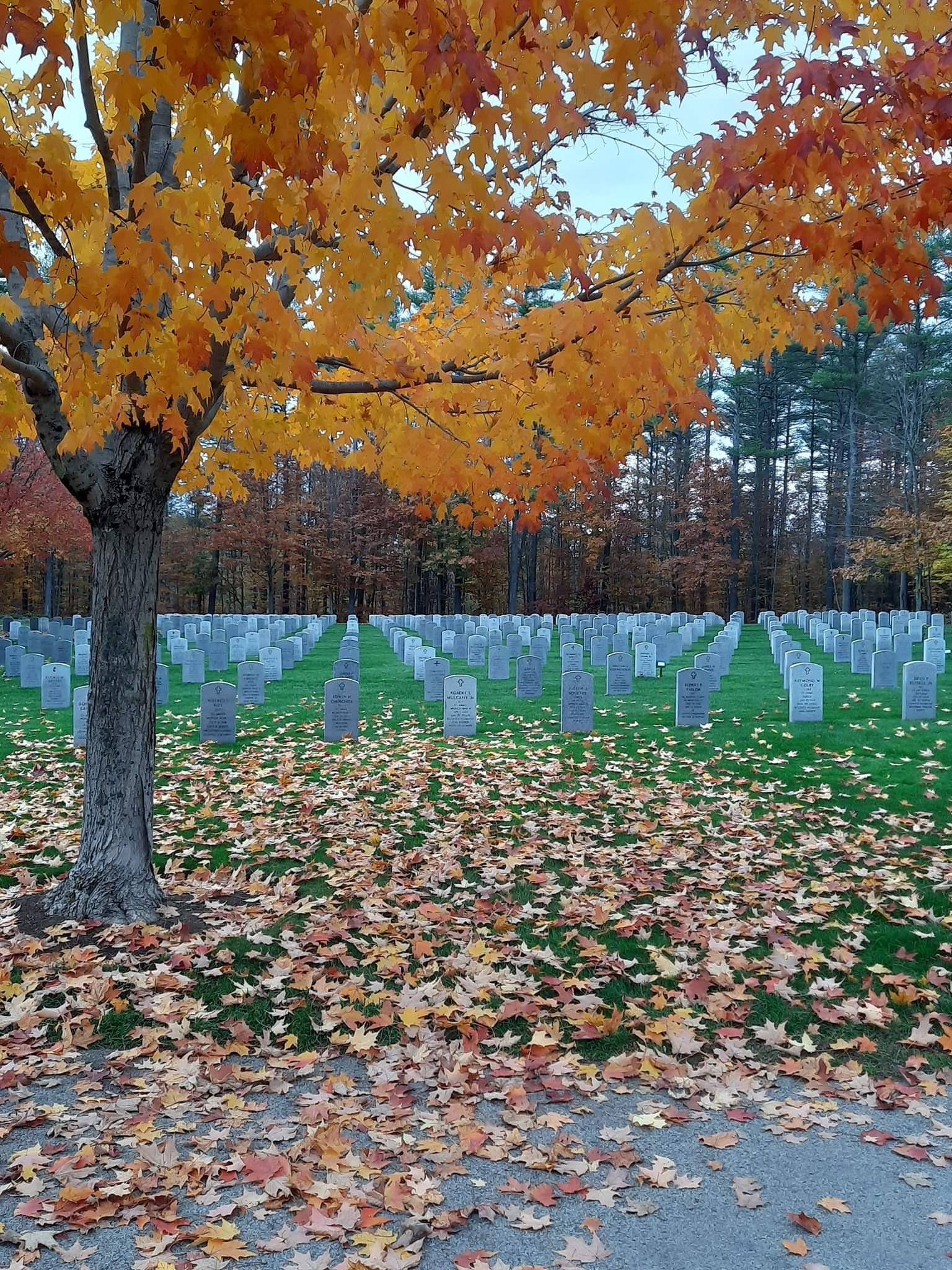 Morte saison