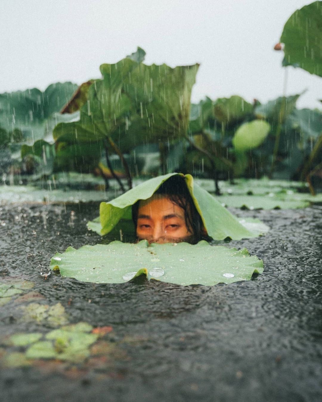 La tête hors de l’eau