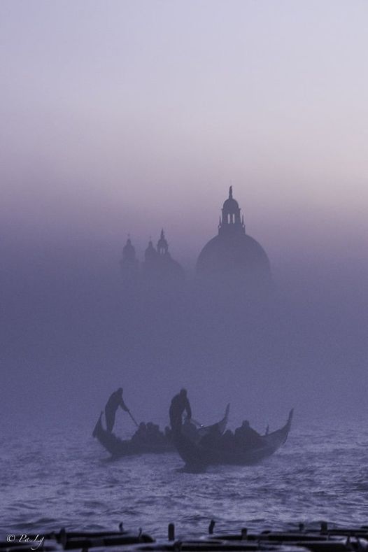 Venise à la violette