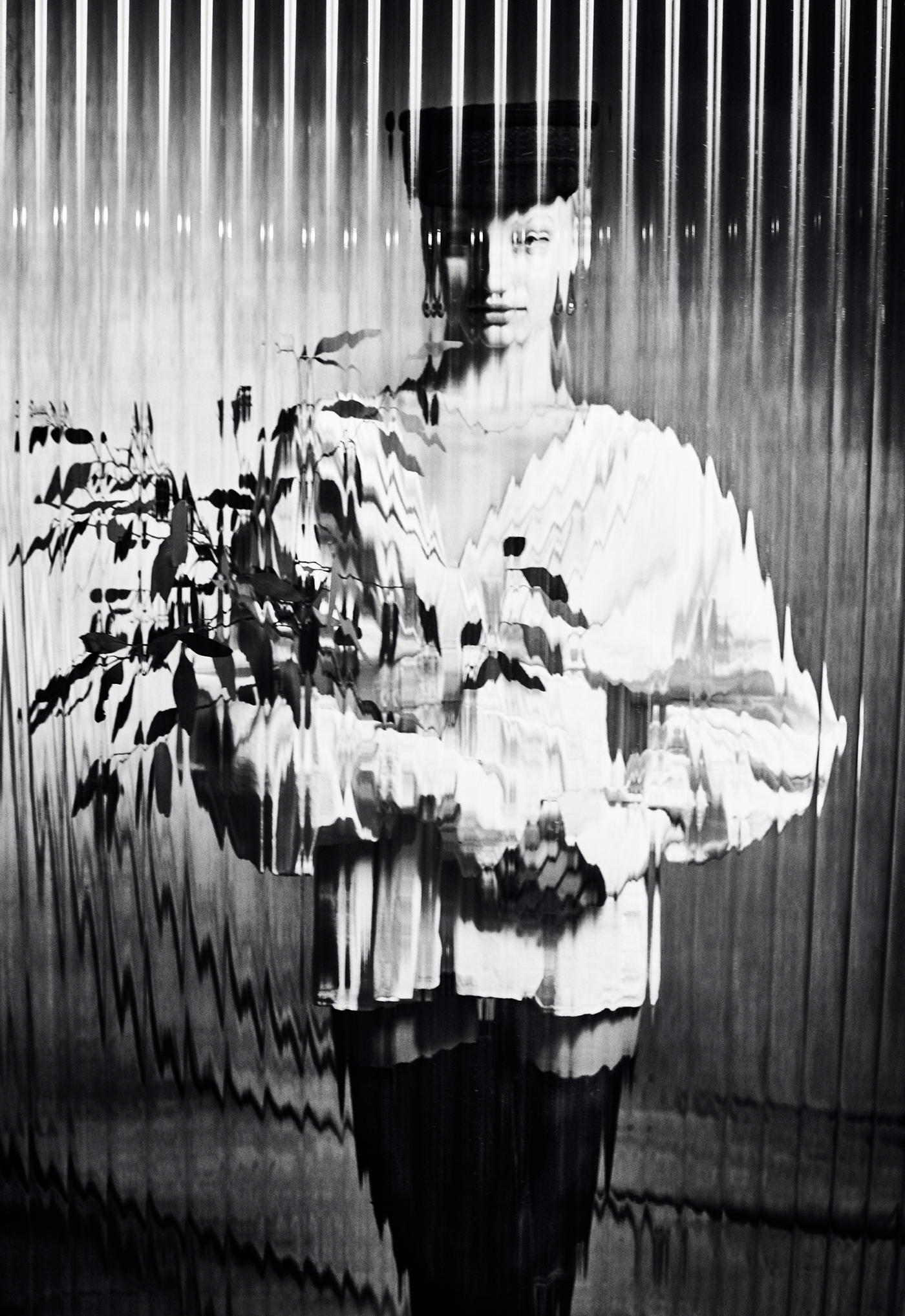 Image galerie
