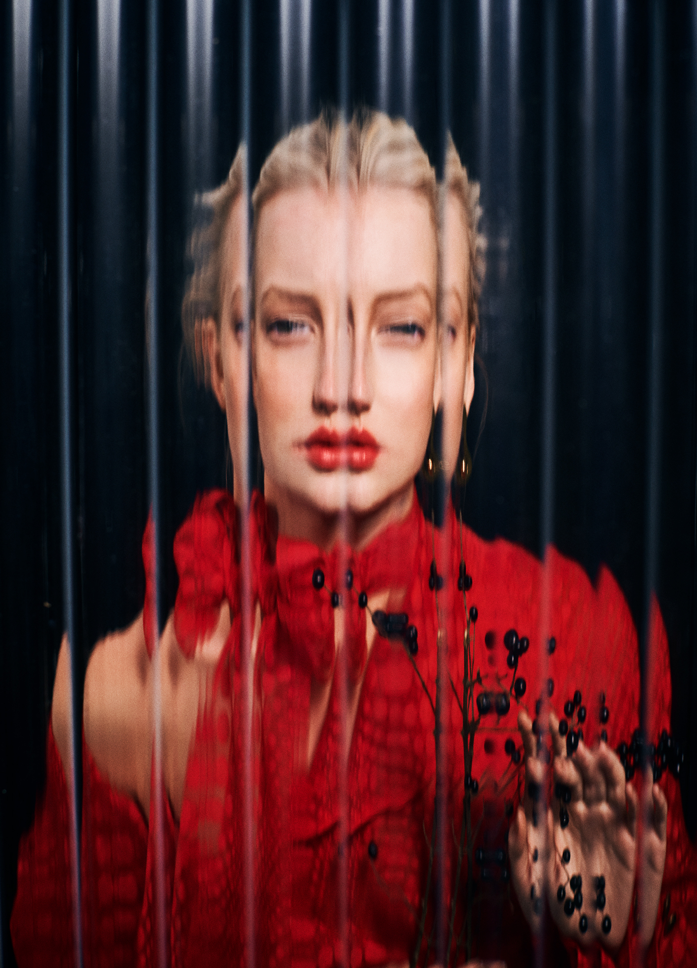 Image galerie