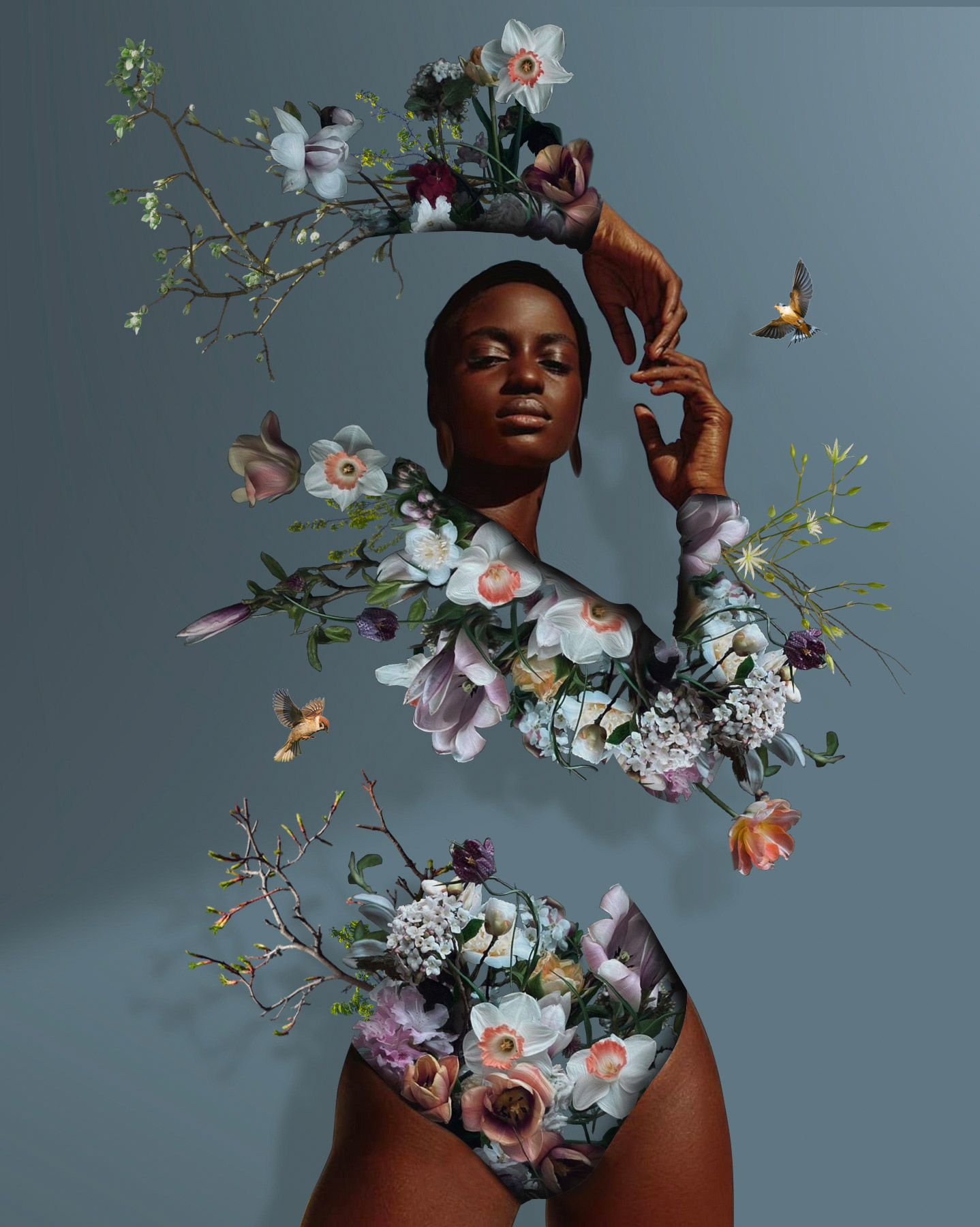Image galerie