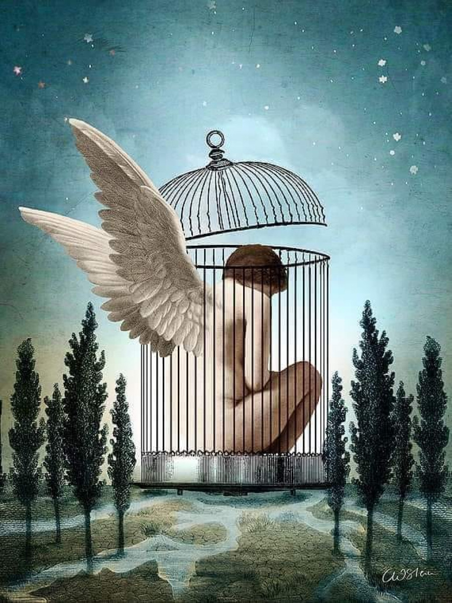 Les ailes coincées