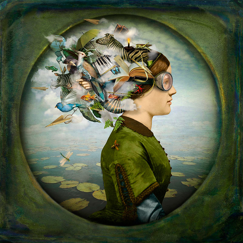 Image galerie