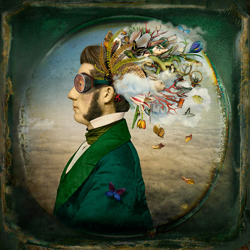 Image galerie