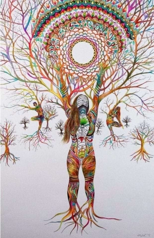 L’arbre énergétique