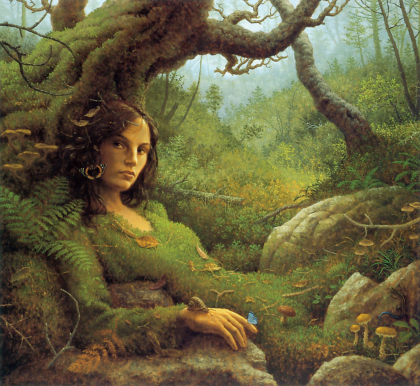 Image galerie