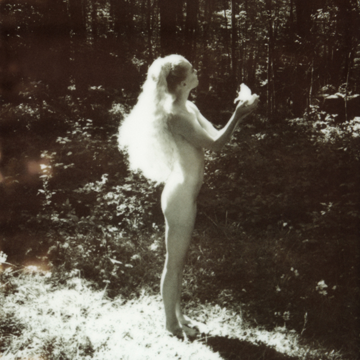 Image galerie