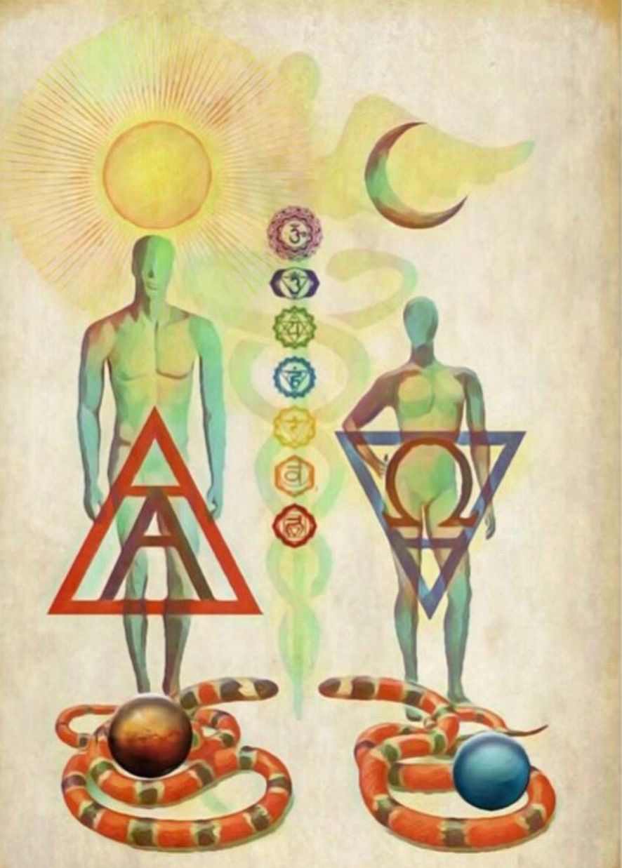 L’Alpha & l’Omega