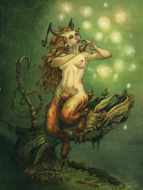 La faune aphone