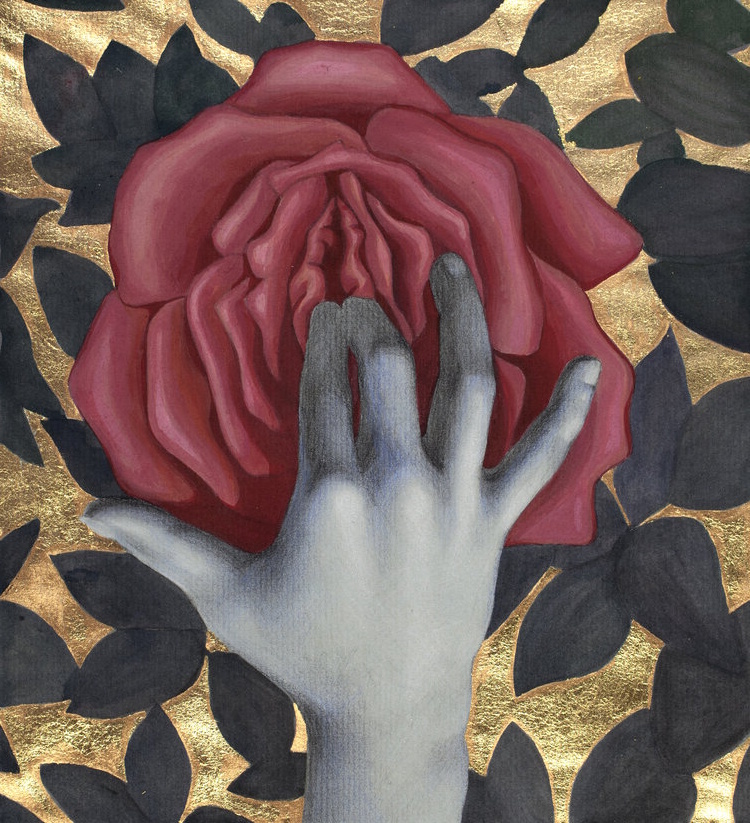 Image galerie