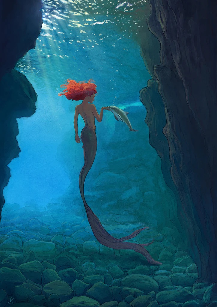 Un dauphin pour la sirène